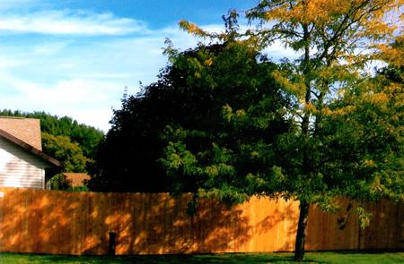 Cedar fence alignment and finish detail